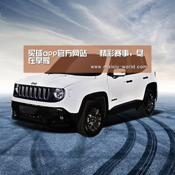 新能源汽车