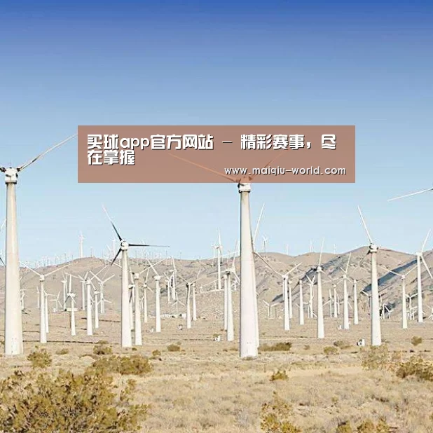 风能