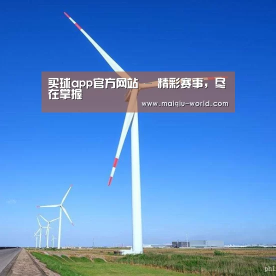 风能