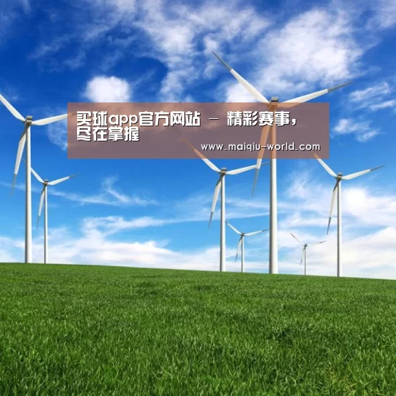 风能