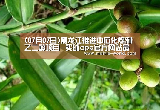(07月07日)黑龙江推进中石化煤制乙二醇项目-买球app官方网站最新版本(图1) 买球app官方网站安卓版