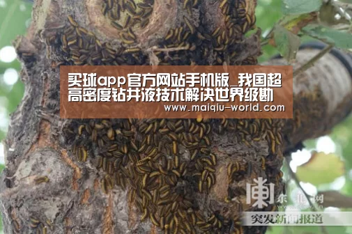 买球app官方网站手机版_我国超高密度钻井液技术解决世界级勘探难题(图1) 买球app官方网站安卓版